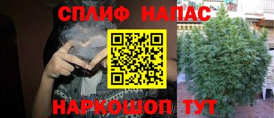 mdma Коммунар