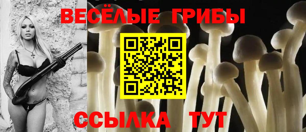 Галлюциногенные грибы прущие грибы Кингисепп